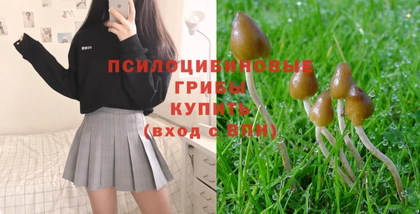 Альфа ПВП Зеленокумск