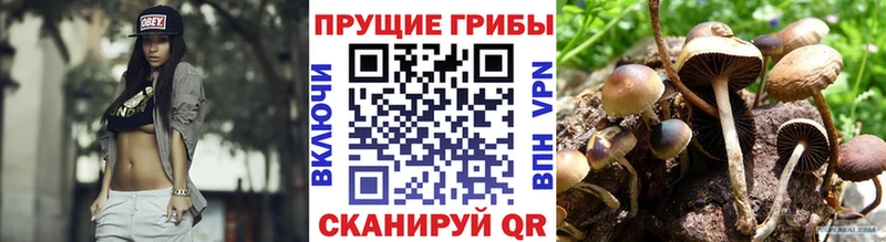 ОМГ ОМГ как зайти  площадка телеграм  Галлюциногенные грибы мицелий  Княгинино 